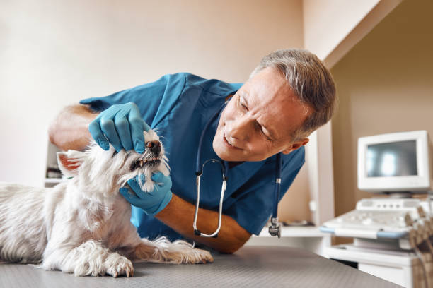 Best Emergency TMJ Treatment in Lordsburg, NM